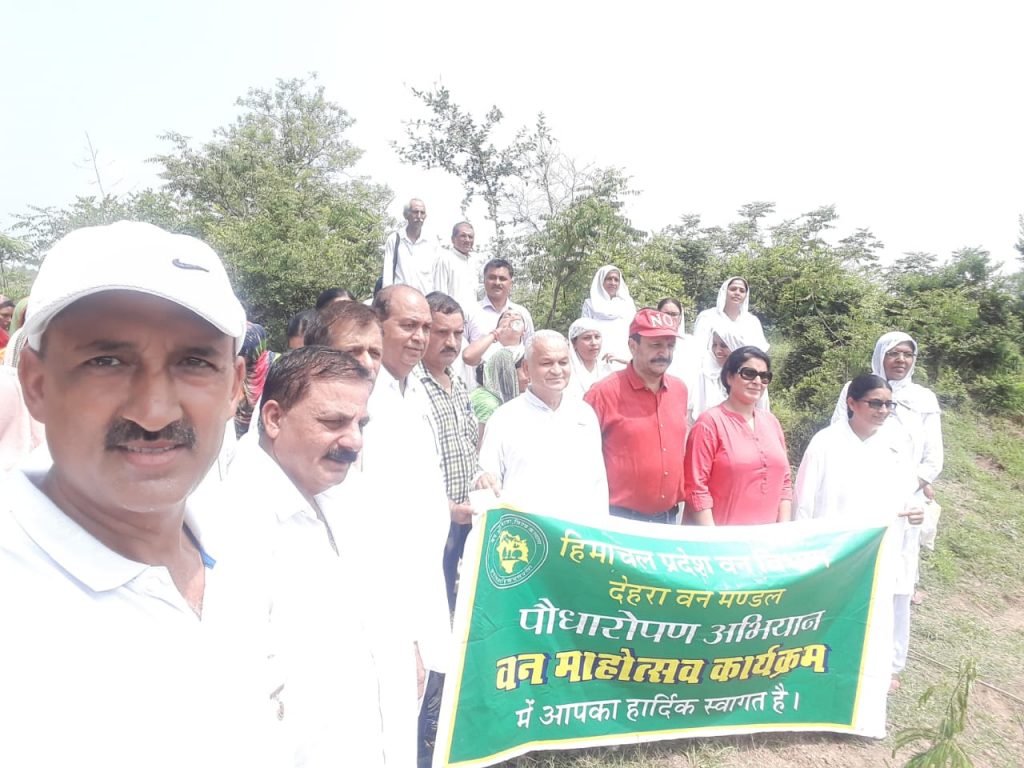 देहरा:प्रजापिता  ब्रहमा कुमारी ईशवरीय विश्व विद्यालय देहरा में वन महोत्सव